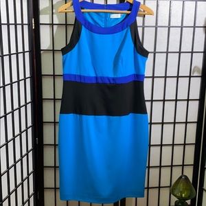 Calvin Klein Dress Size 12